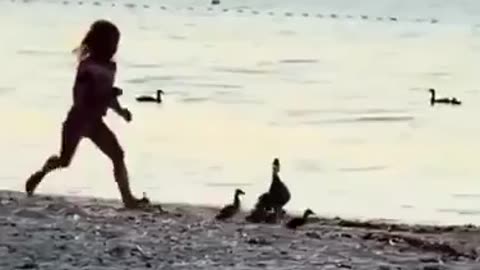 Mother Duck Chases Girl After She Scares Ducklings!