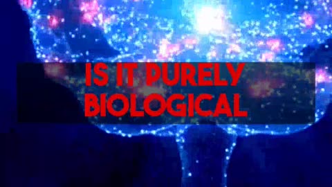 Unpacking Consciousness Biology Versus Computation A Philosophical Inquiry