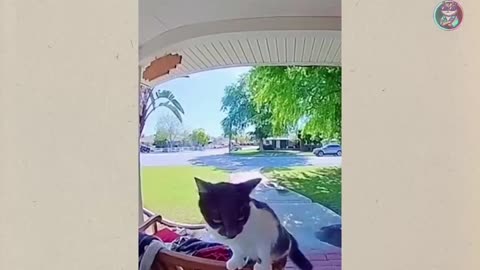 Playing with Enemies
