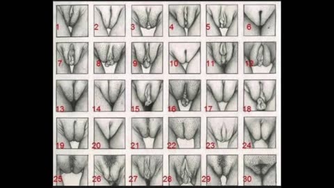 All The Different Private Parts... #235