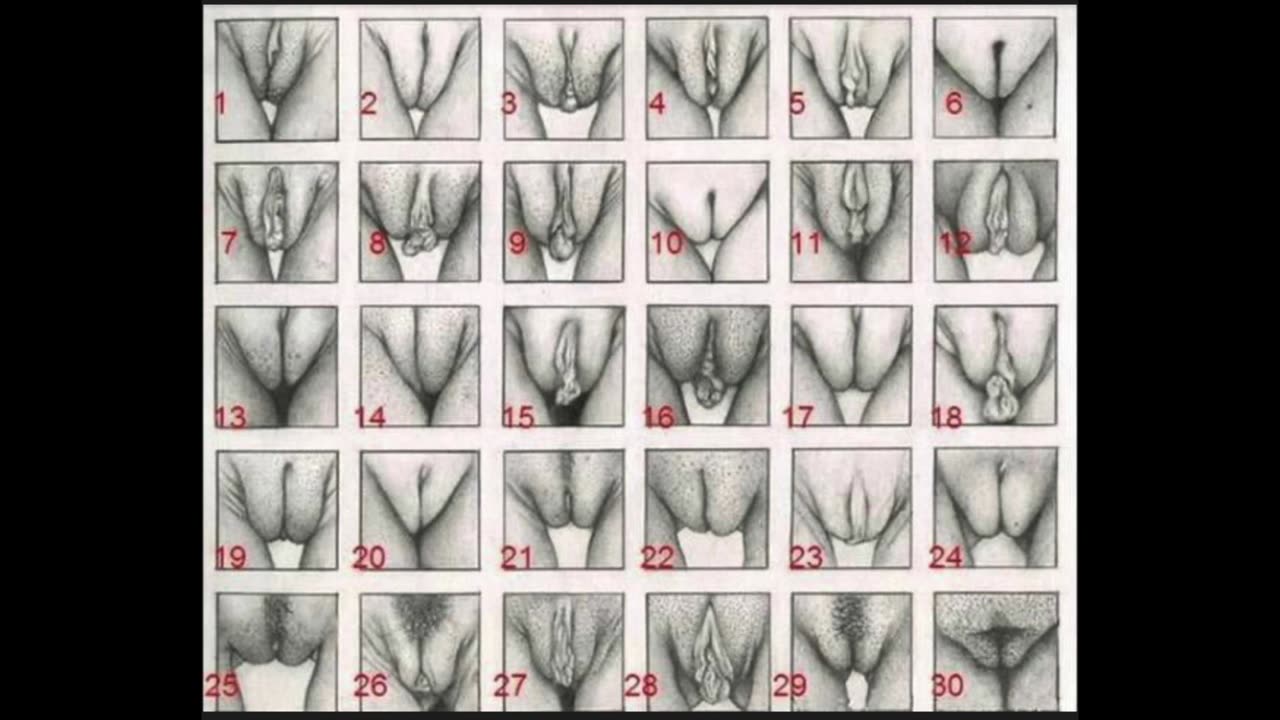 All The Different Private Parts... #235