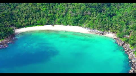 Nature’s Gentle Touch – Soft Winds, Clear Skies, and Blooming Trees