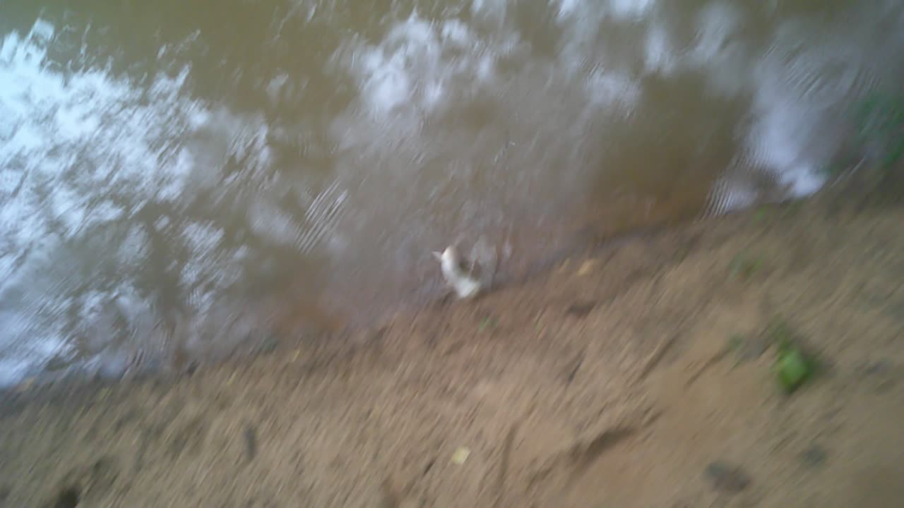Channel Cat yay yay!!