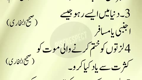 5 Golden Commands of Prophet Muhammad ﷺ | Islamic Reminder | Hadith Quotes#shorts