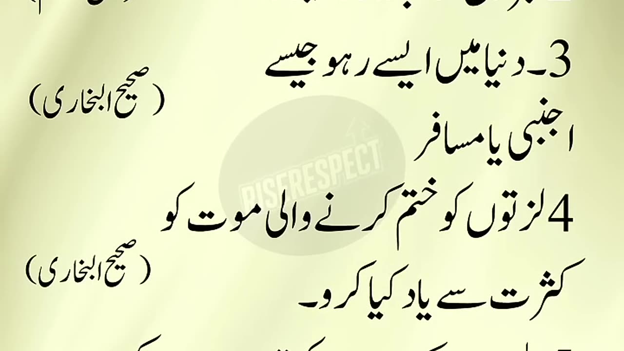 5 Golden Commands of Prophet Muhammad ﷺ | Islamic Reminder | Hadith Quotes#shorts