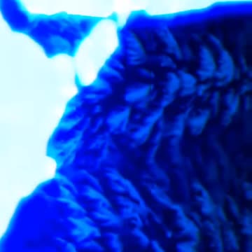 Scroll-Stopping Beat 💣🎵 | What’s Behind the Buzz?