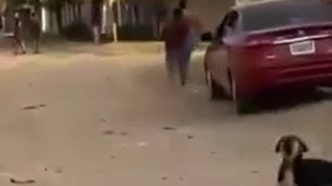 Camera man did a great job