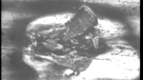 [STOCK NEWSREEL EXCERPTS] - [STOCK NEWSREEL EXCERPTS] - cbs-cbswwi-445