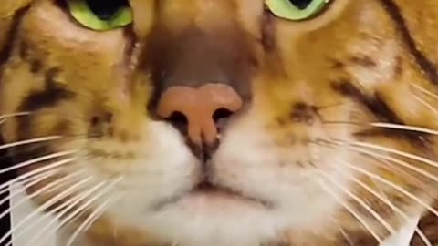 If you can love..😍