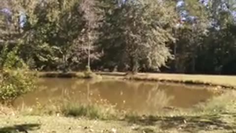 the inverted world we live in