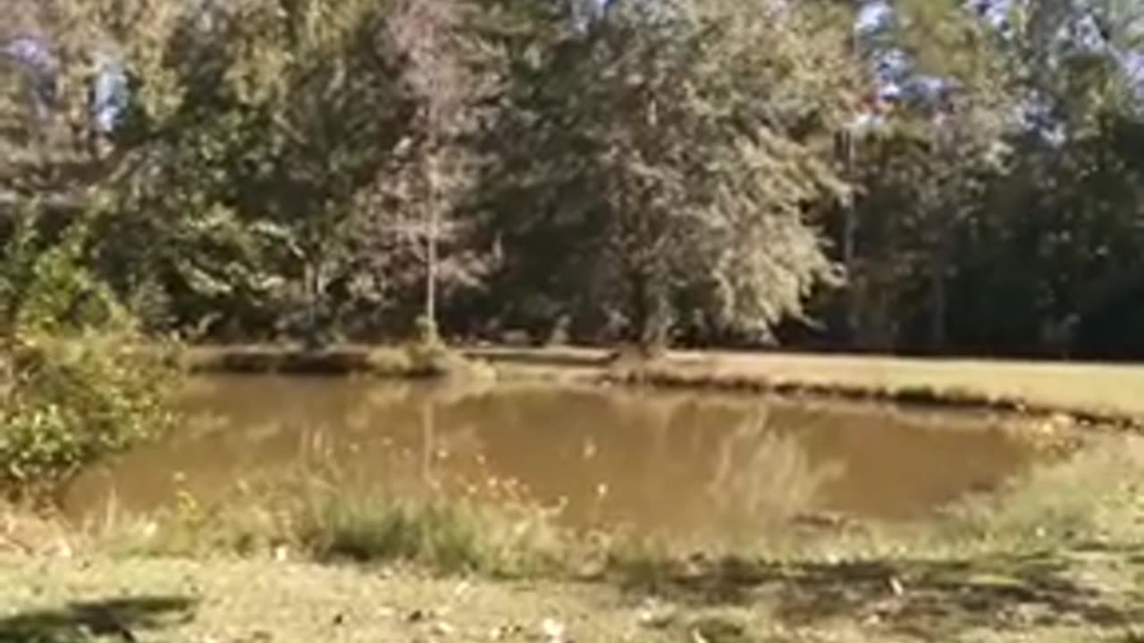 the inverted world we live in