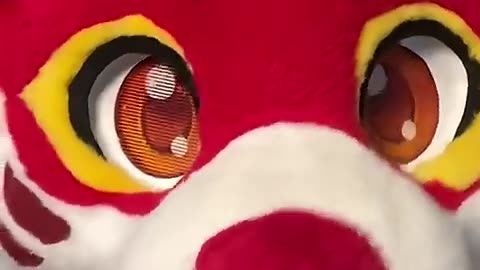 A Furry tells you why Knots are Amazing