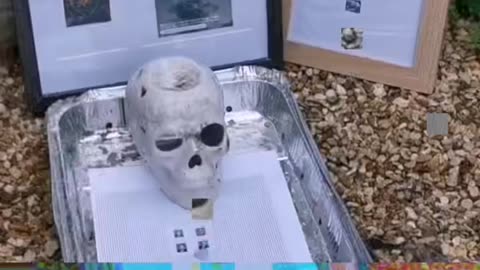 Tim Rifat TikTok Videos