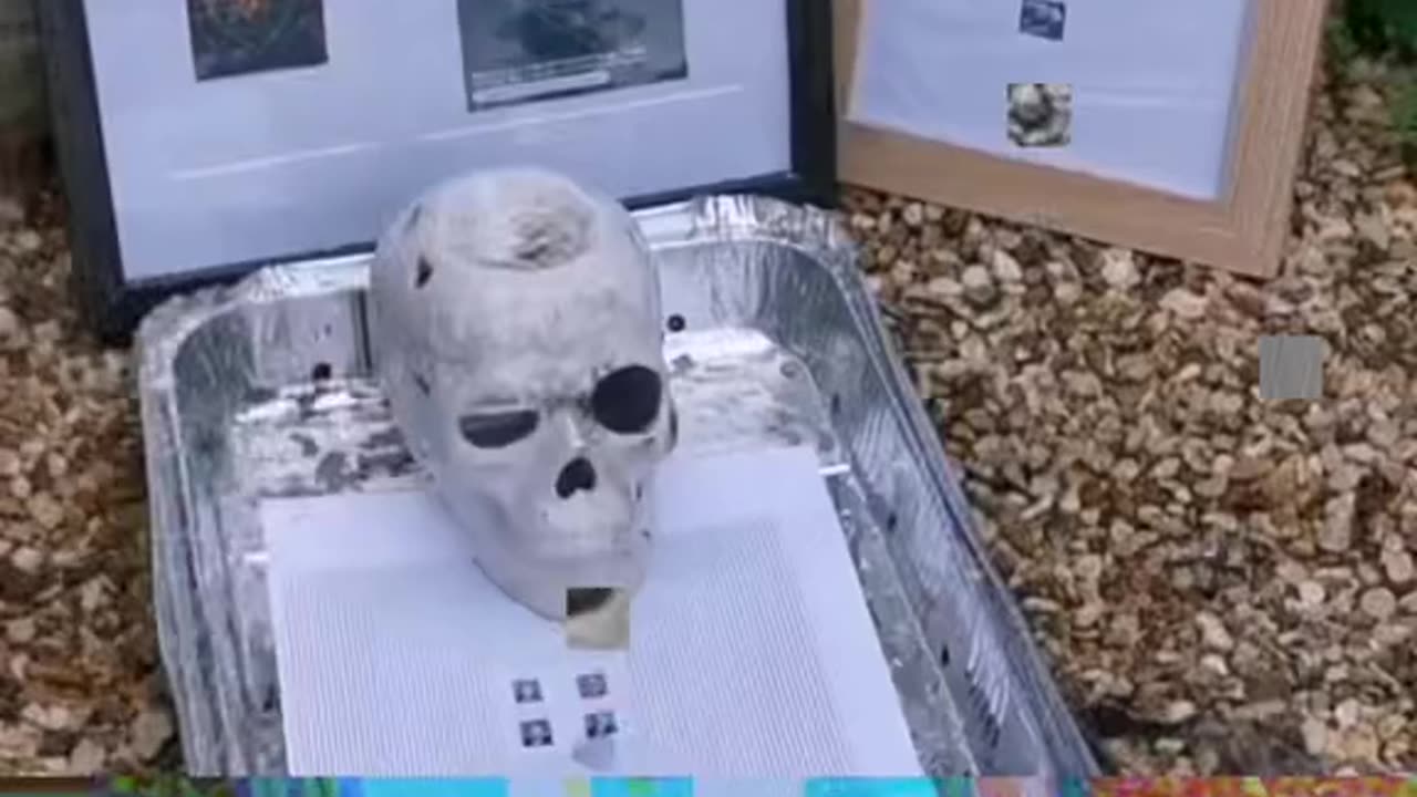 Tim Rifat TikTok Videos