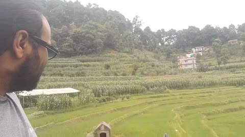 "Visiting My Corn Farm! 🌽 A Day in the Fields"
