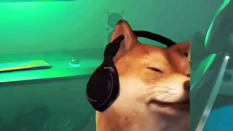 Peak music