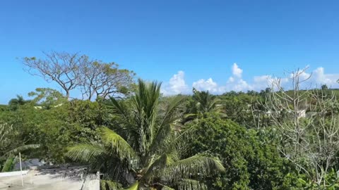 Eddy Rodriguez Condos for Sale | Bitcoin Guaranteed Financing