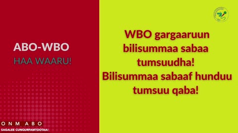 Gabaasa Gumaacha ONM-ABO Waxaabajjii 22-2025 itti dhiyaadhaa!