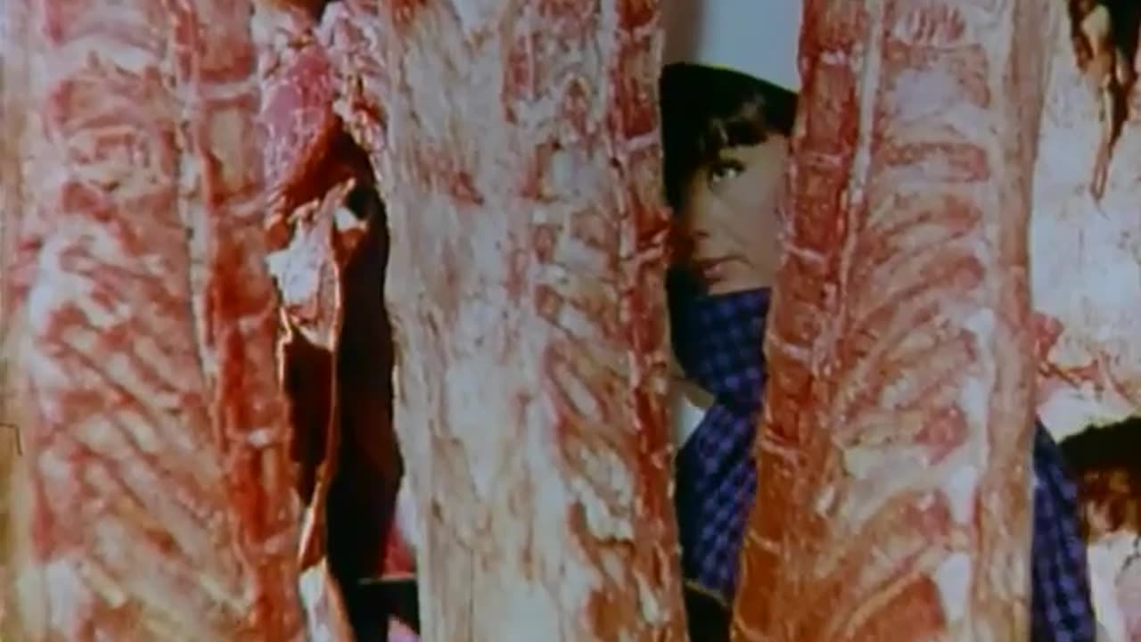 Carne (Armando Bo, 1968) - Película completa