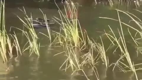Even rivers hate cyclists