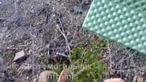 🚪🏃 Ukraine Russia War | Ukrainian POV: Border Crossing in Ukraine-Russia Conflict | RCF