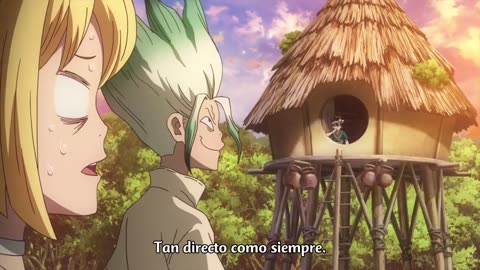 Doctor piedra 10