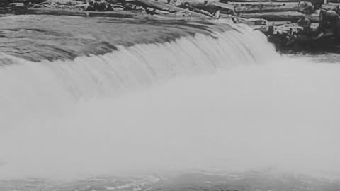 The Balloonatic (1923)