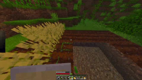 Playing Minecraft on my private server