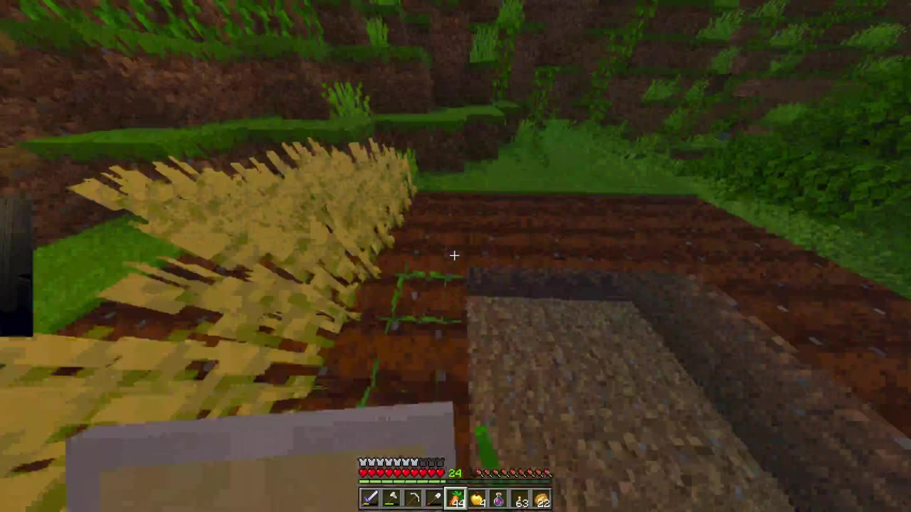 Playing Minecraft on my private server
