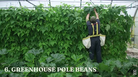 15 Most Profitable Crops Every Small Farm & Market Garden Needs to Grow!