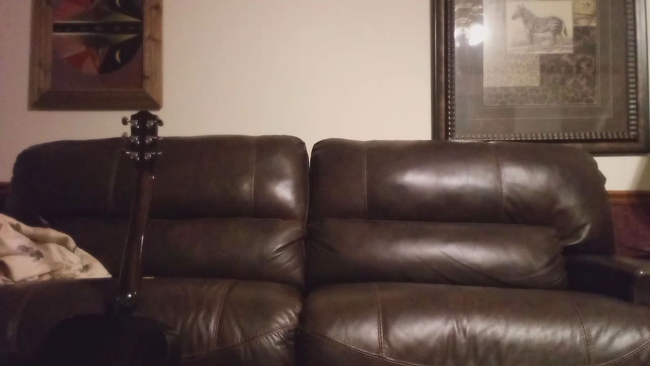 Requiem for a Thumb pick #short