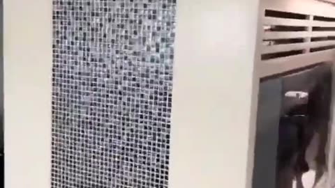 Watch till the end im dead 🤣🤣