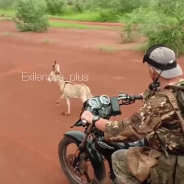 Russian Soldiers in the Central African Republic Struggling to Keep Up with Speeding Donkey