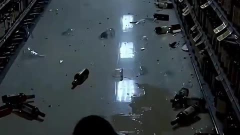 Drunk raccoon causes chaos in Virginia liquor store and goes viral