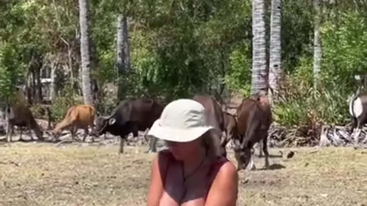 𝑷𝒆𝒂𝒄𝒆𝒇𝒖𝒍 𝑺𝒄𝒆𝒏𝒆