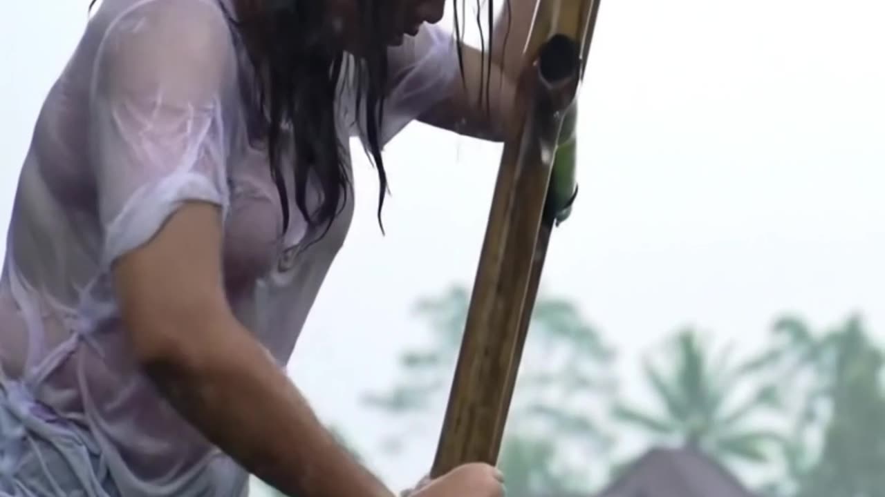 picking mangoes amidst heavy rain