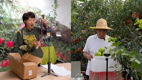 China's 'new farmers' learn to Livestream in rural revitalisation