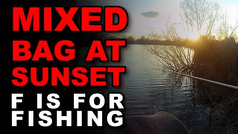 Mixed Bag at Sunset