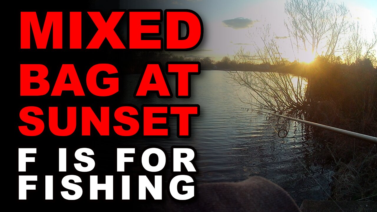 Mixed Bag at Sunset