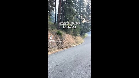 Idaho Critical Thinker Weighs In On The Shooting