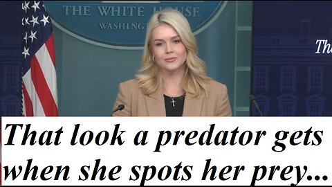 Schooling Democrat "Journalists"