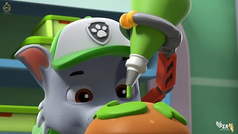 PAW Patrol Cartoons