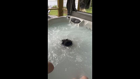 Fun In The Hot Tub 🛁
