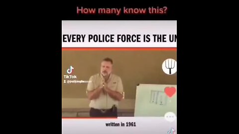 "Unveiling the Unknown: Every Police Force as a Branch of the United Nations"