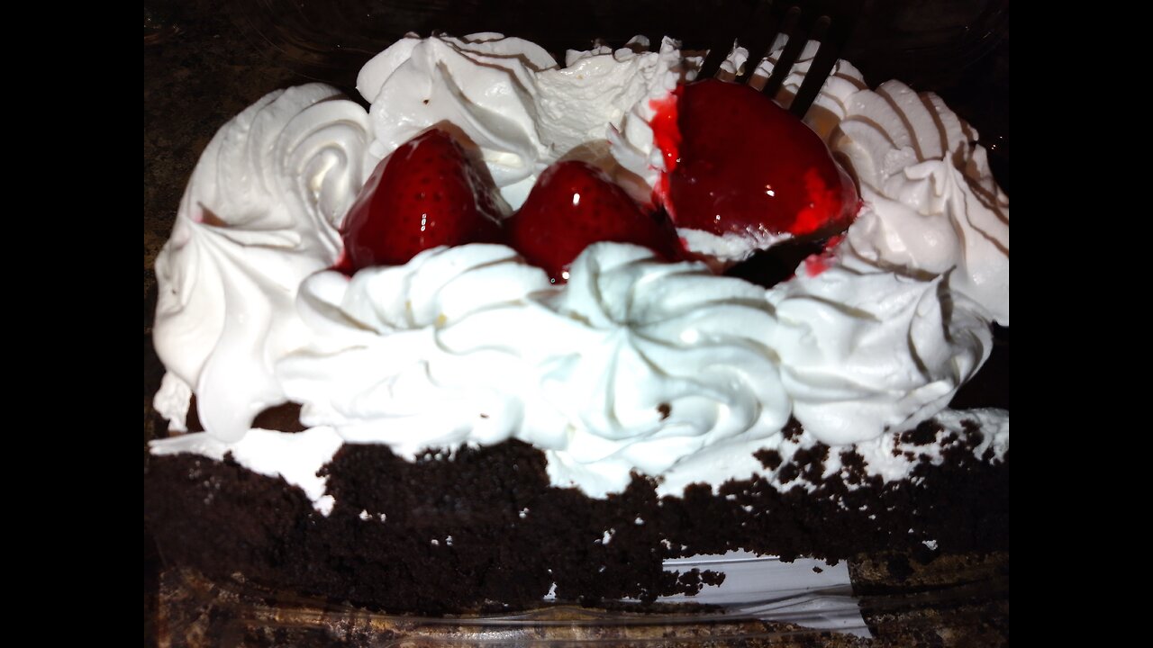 Kitty meditation Debrief