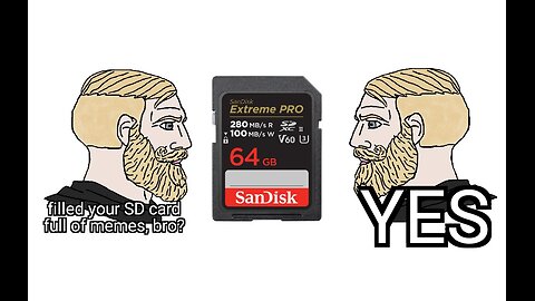 My 4 GB SD card is almost full