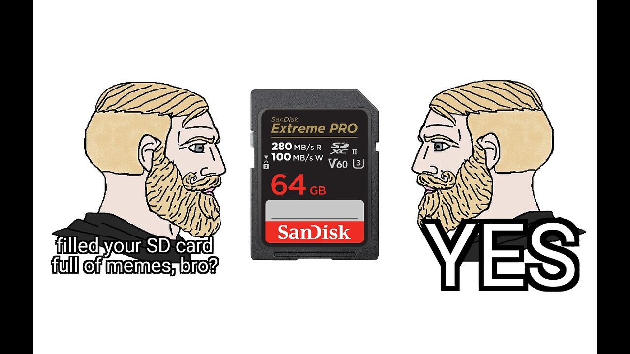 My 4 GB SD card is almost full