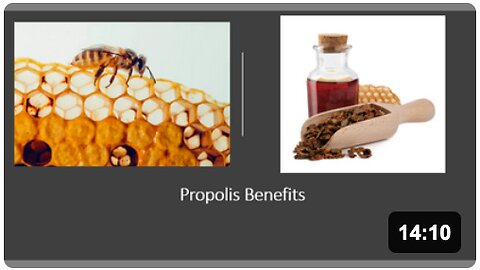 Propolis Benefits