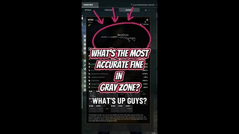 Most Accurate Gun in Gray Zone???