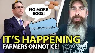 PA Begins Mass Chicken Elimination - Not Joking!